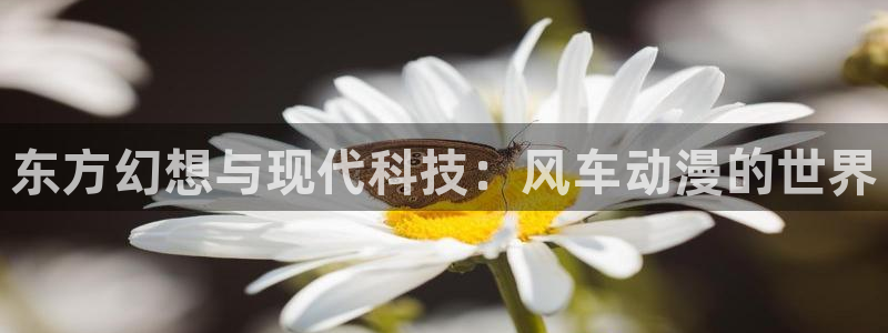 omofun正版