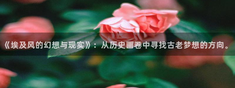 omofun纯净版无广告