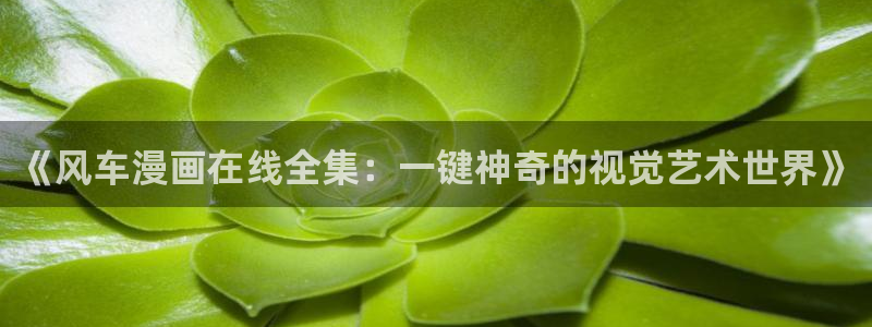 omofun动漫下载最新版
