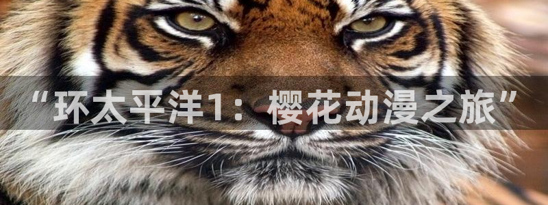 omofun网页版免费