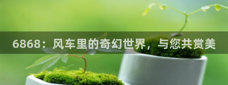 omofun正版官方