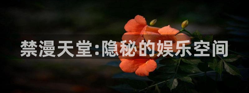 奇漫屋网站