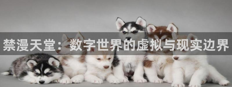 omofun在线下载